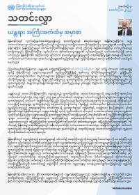 IIMM_Bulletin_Burmese.pdf